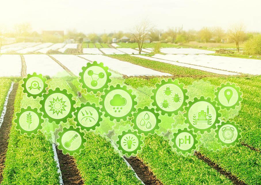 农业可持续发展